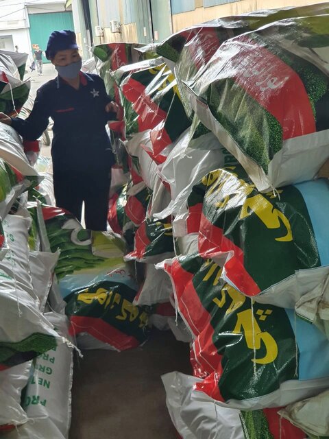 Green Tea Roayl